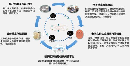 区块链赋能实体经济的实践之路 信息发展参链科技的应用探索